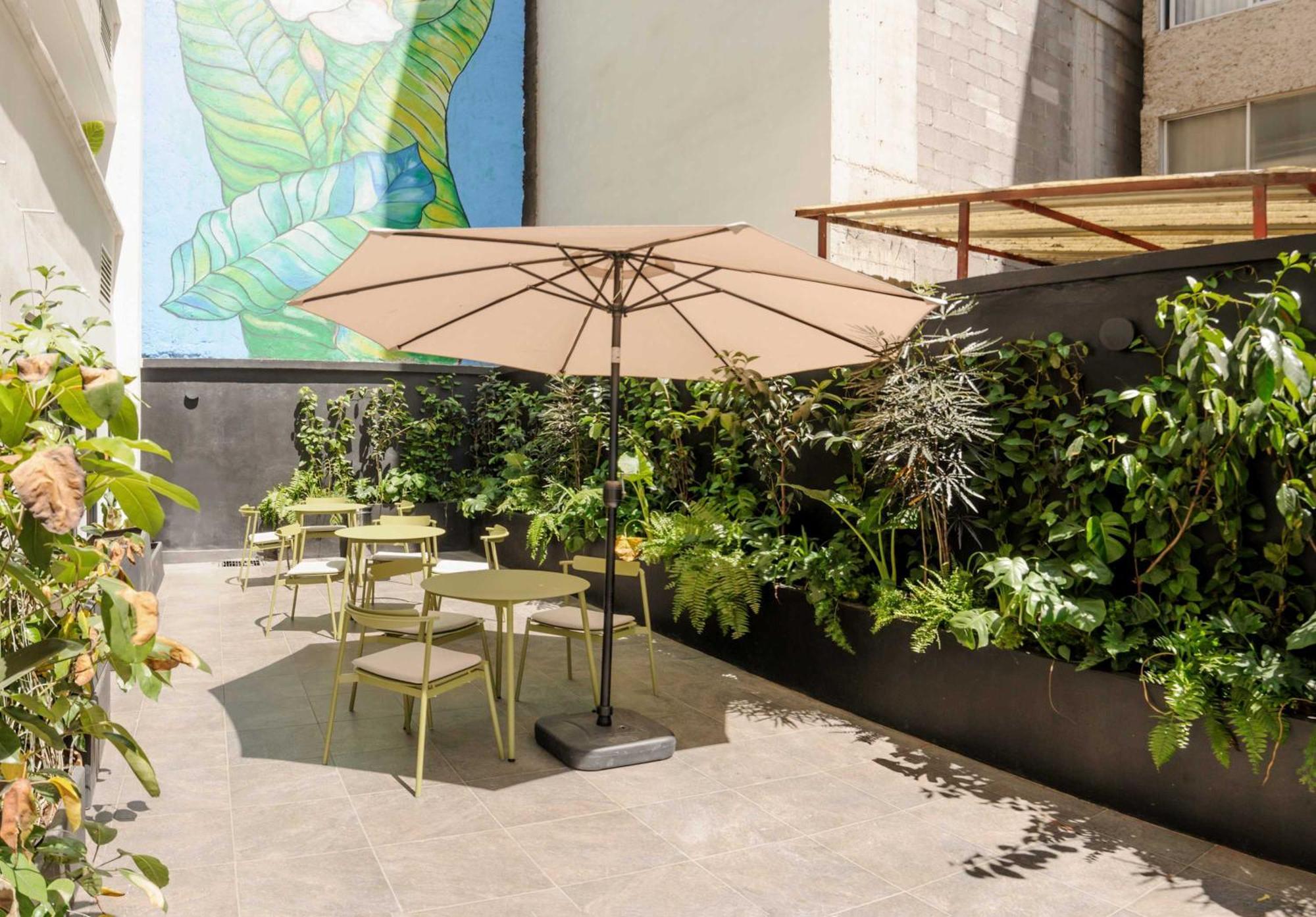 Colima 340 By Wynwood House Apartment Mexico City Exterior photo